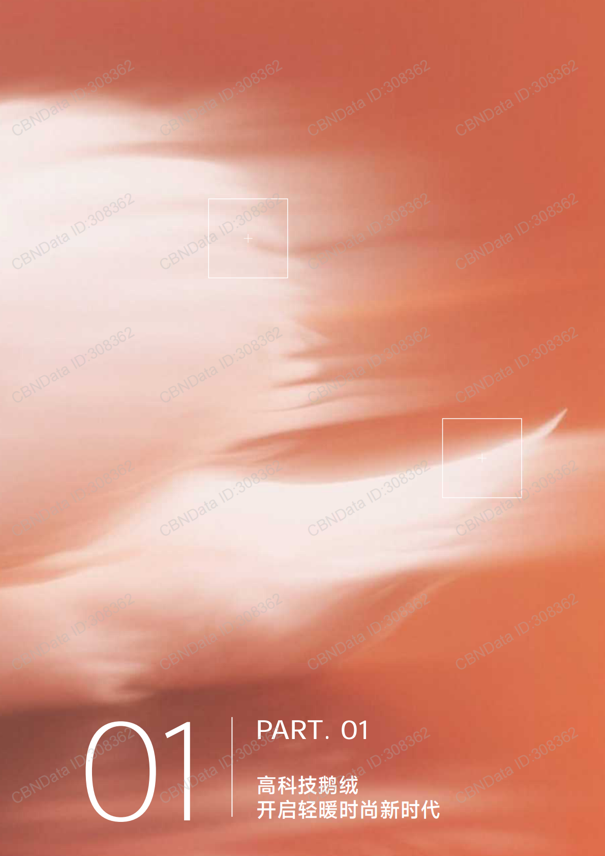 美力城：2025年高科技鹅绒行业标准白皮书 第3页