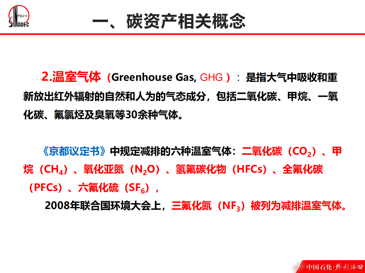 中国石化碳资产管理 第5页