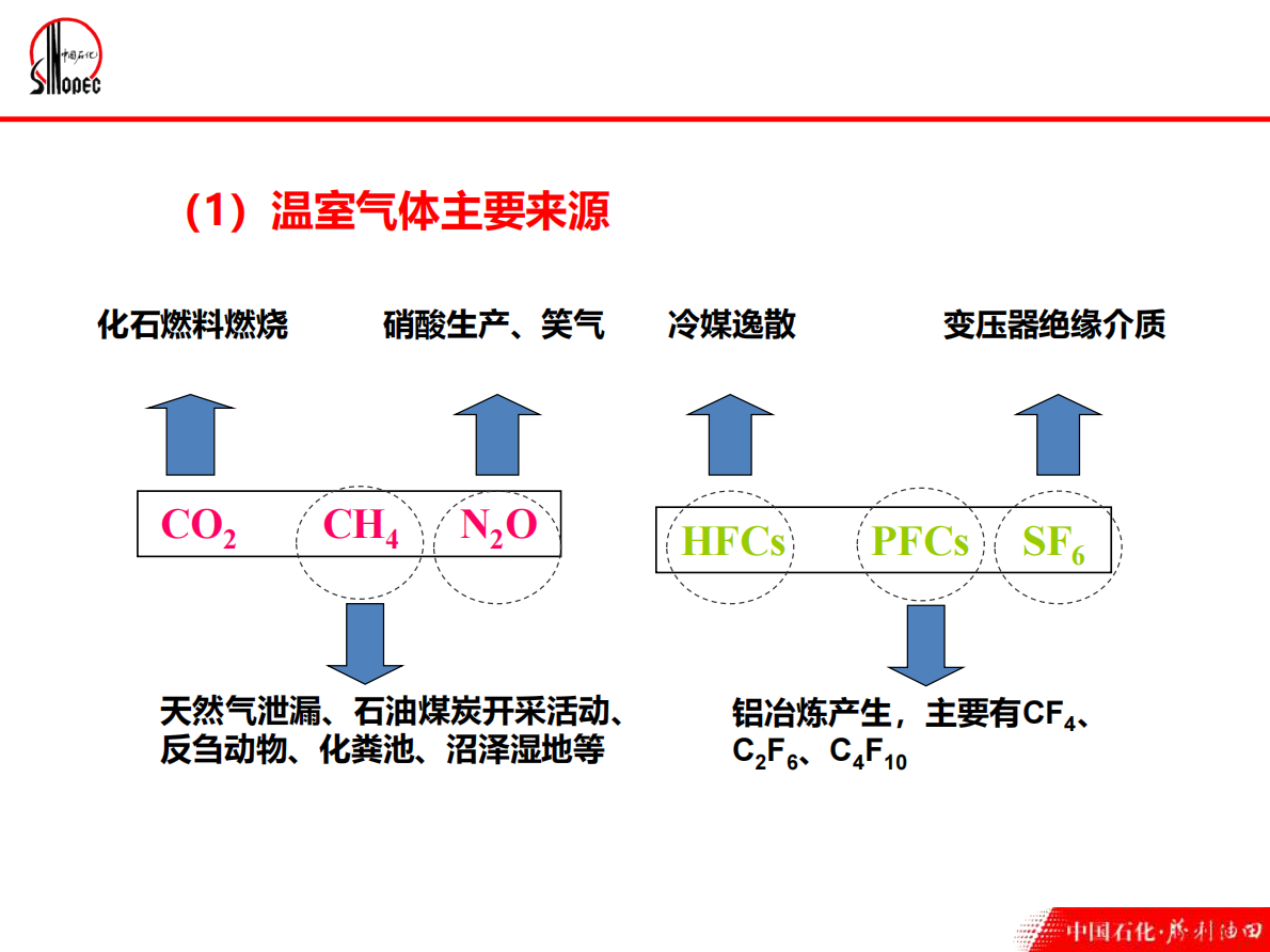 中国石化碳资产管理 第6页