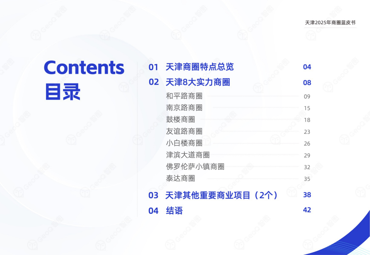 GeoQ智图：天津2025年商圈蓝皮书 第3页