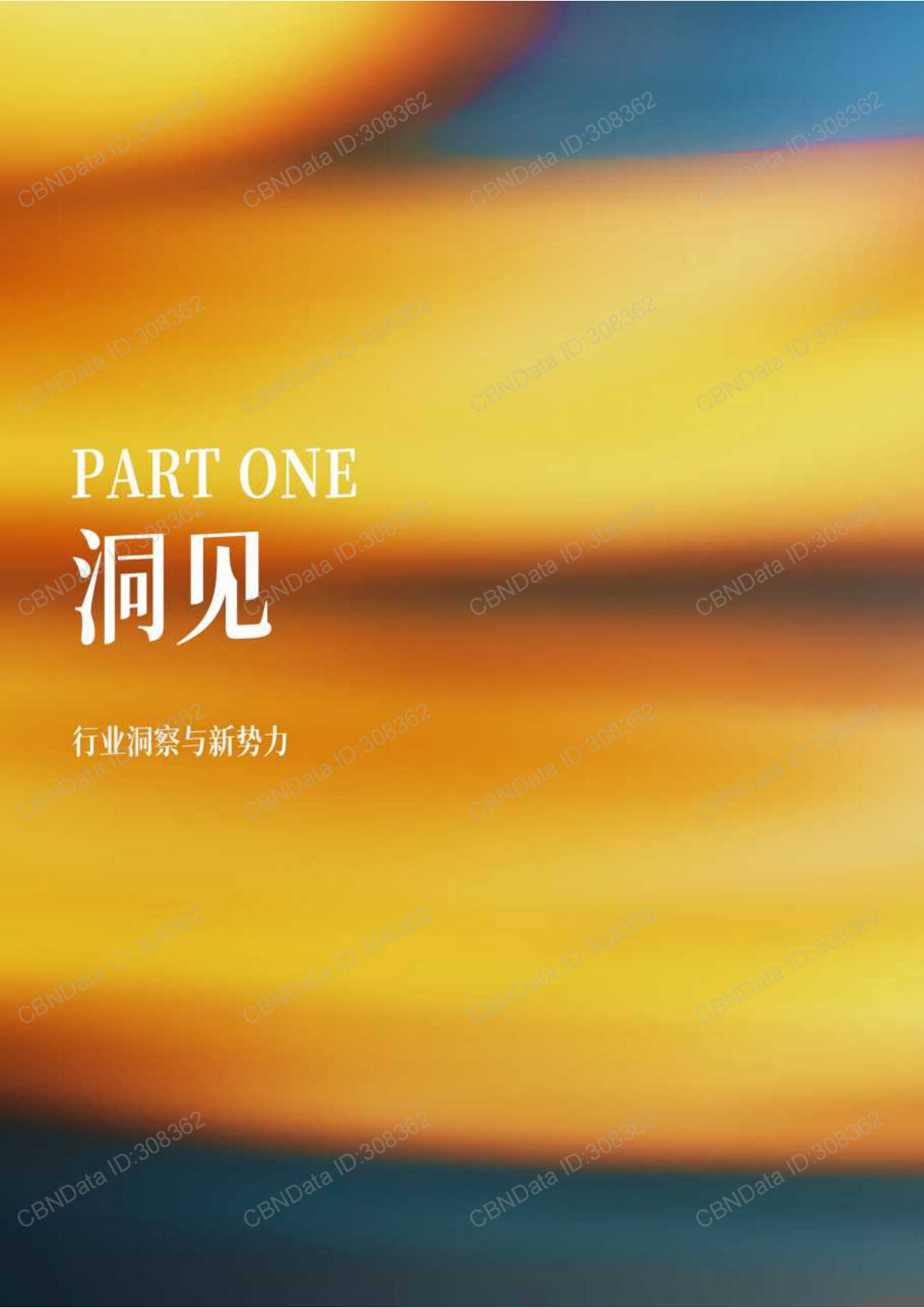 抖音电商&CBNData：2025抖音电商时尚红人之书 第3页