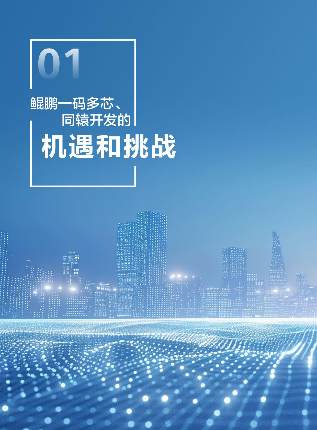 华为：2025年鲲鹏一码多芯、同辕开发技术白皮书 第4页