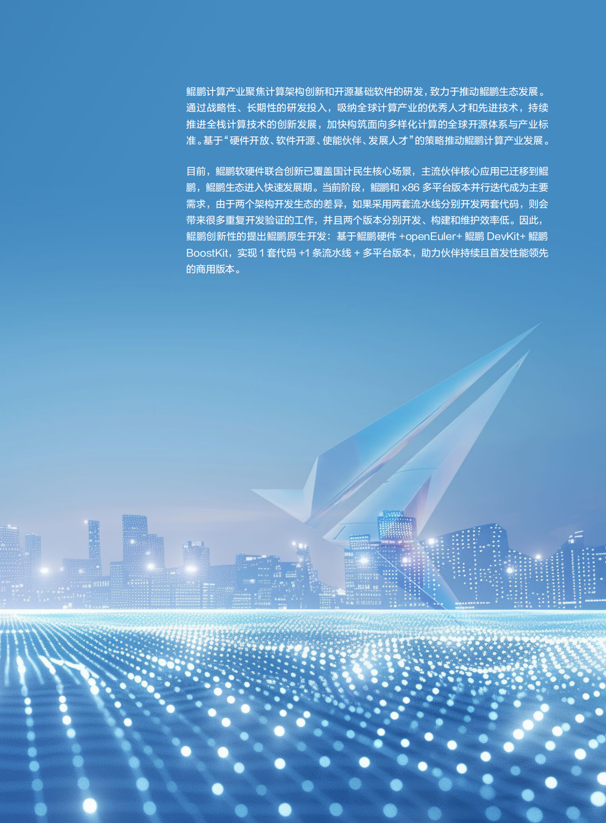 华为：2025年鲲鹏一码多芯、同辕开发技术白皮书 第5页
