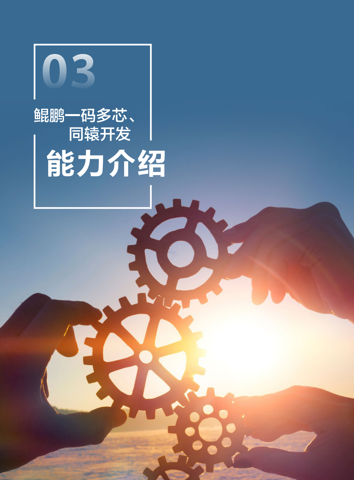 华为：2025年鲲鹏一码多芯、同辕开发技术白皮书 第8页