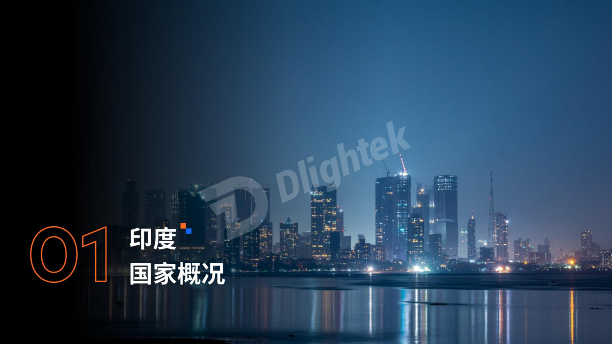 Dlightek：2025年印度运营商行业报告（英文） 第4页