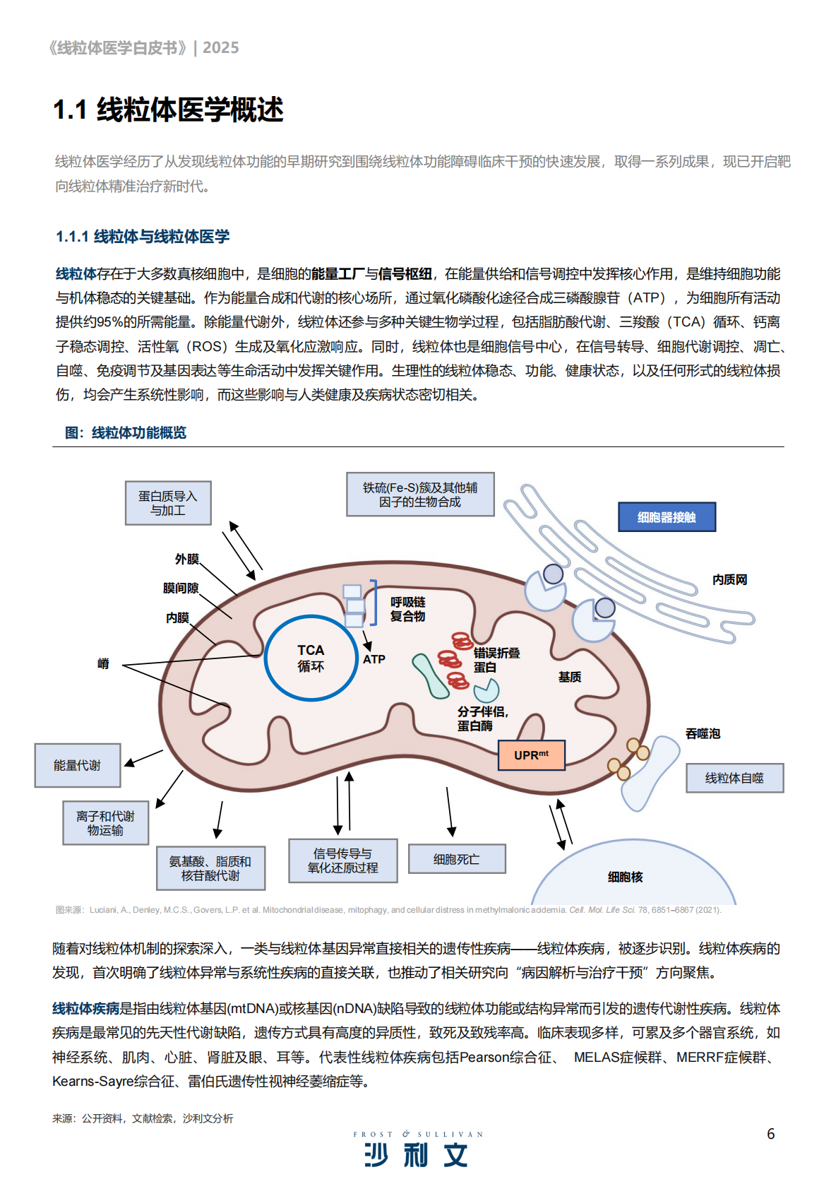 沙利文咨询：2025线粒体医学行业发展现状与未来趋势白皮书 第6页