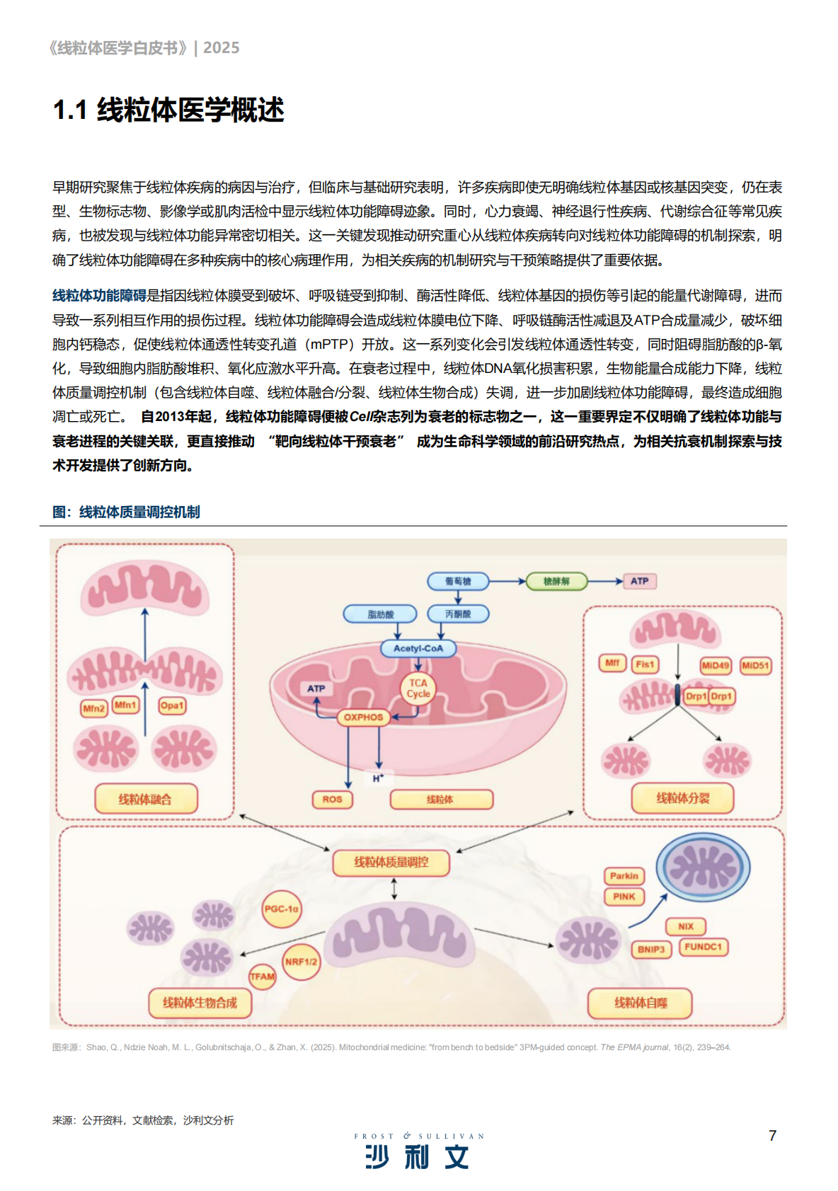 沙利文咨询：2025线粒体医学行业发展现状与未来趋势白皮书 第7页