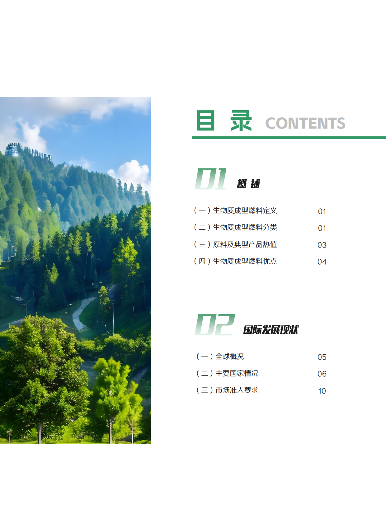 中国产业发展促进会：2025中国生物质成型燃料产业发展报告 第8页