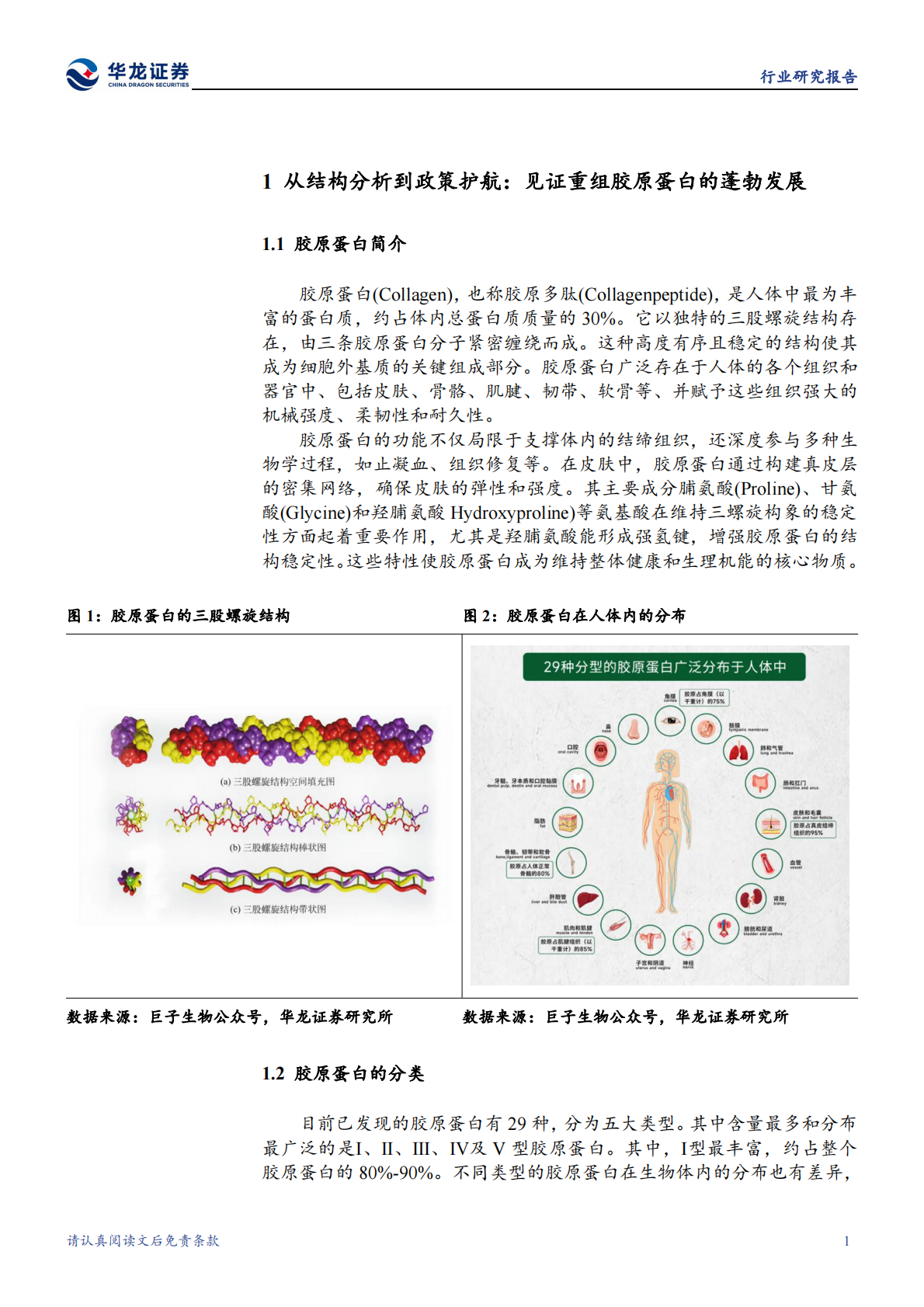 华龙证券：美容护理行业研究报告：胶原蛋白，技术支撑下的产业链协同与医美应用新趋势 第5页