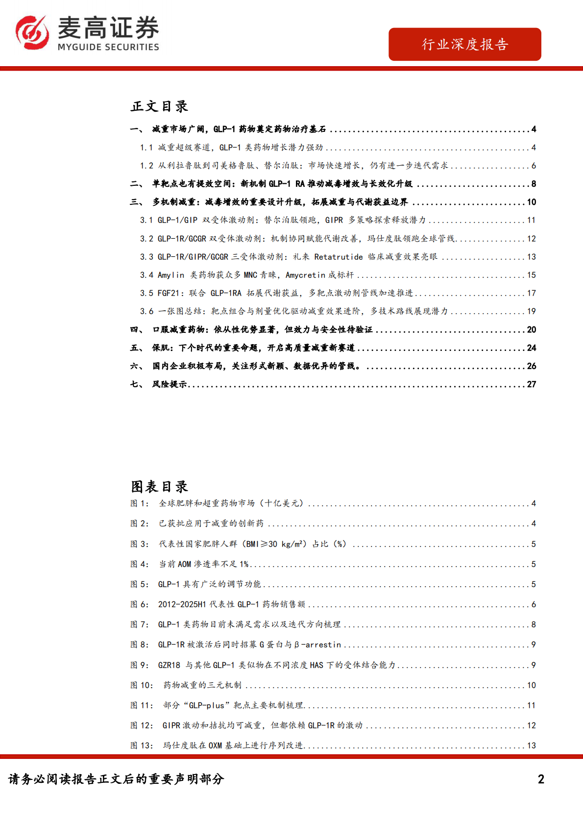 麦高证券：减重药物行业深度报告（上）&mdash;&mdash;创新迭代不止，后GLP-1减重时代百花齐放 第2页