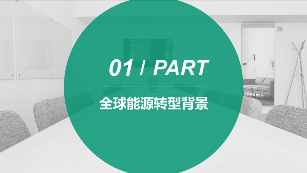 生物质能源与生物燃料在能源转型中的前景、潜力与挑战 第3页