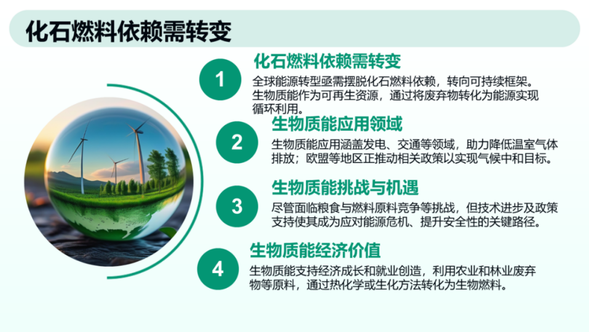 生物质能源与生物燃料在能源转型中的前景、潜力与挑战 第4页