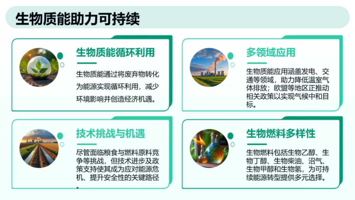 生物质能源与生物燃料在能源转型中的前景、潜力与挑战 第5页