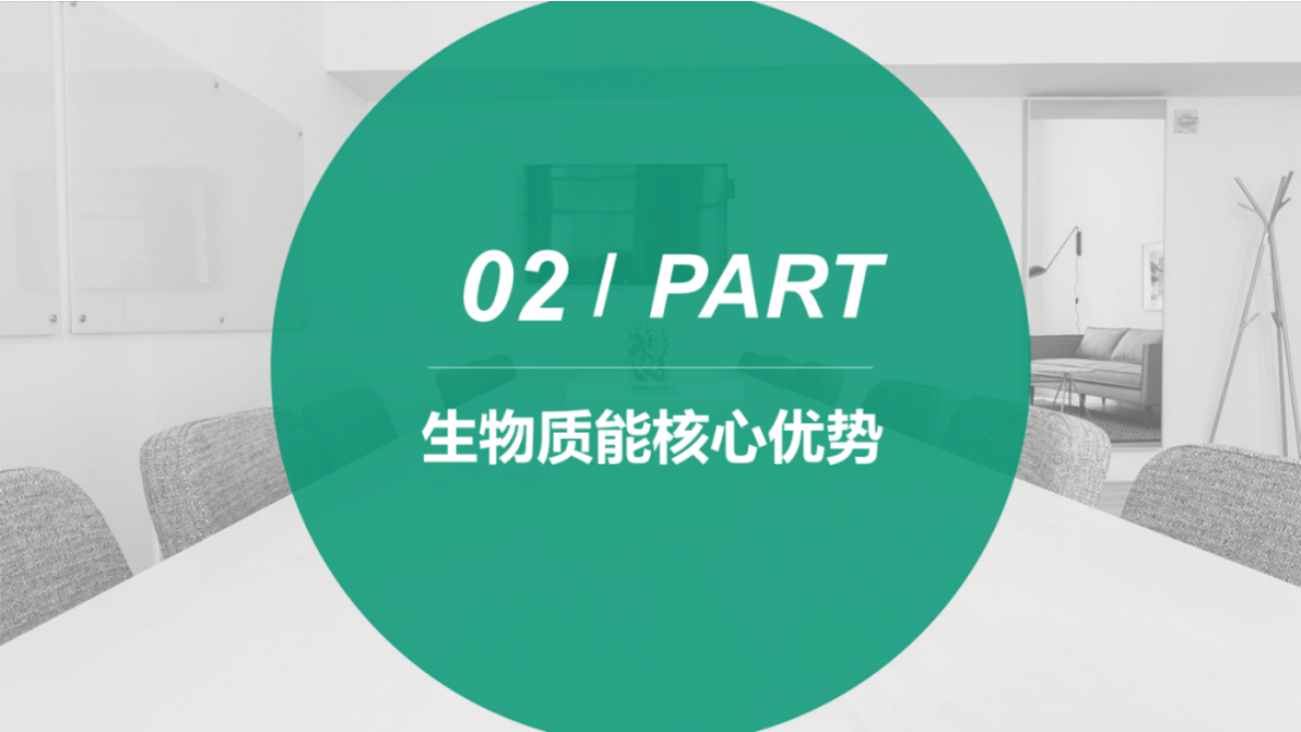 生物质能源与生物燃料在能源转型中的前景、潜力与挑战 第6页