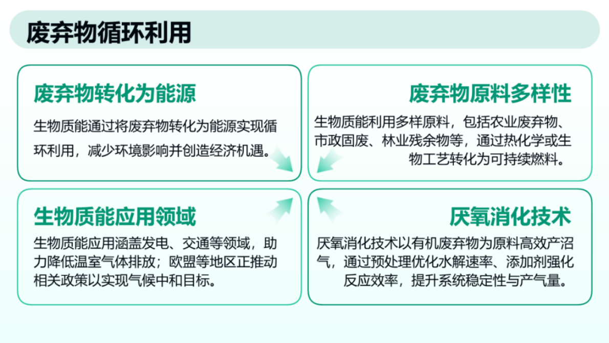 生物质能源与生物燃料在能源转型中的前景、潜力与挑战 第7页