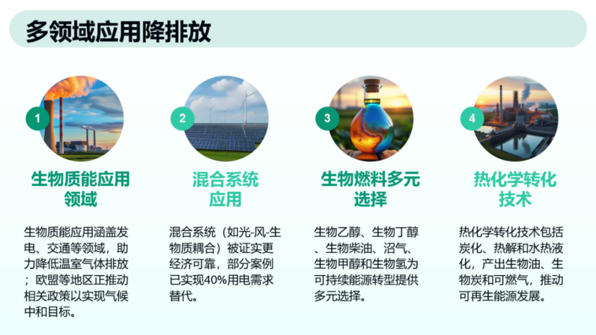 生物质能源与生物燃料在能源转型中的前景、潜力与挑战 第8页