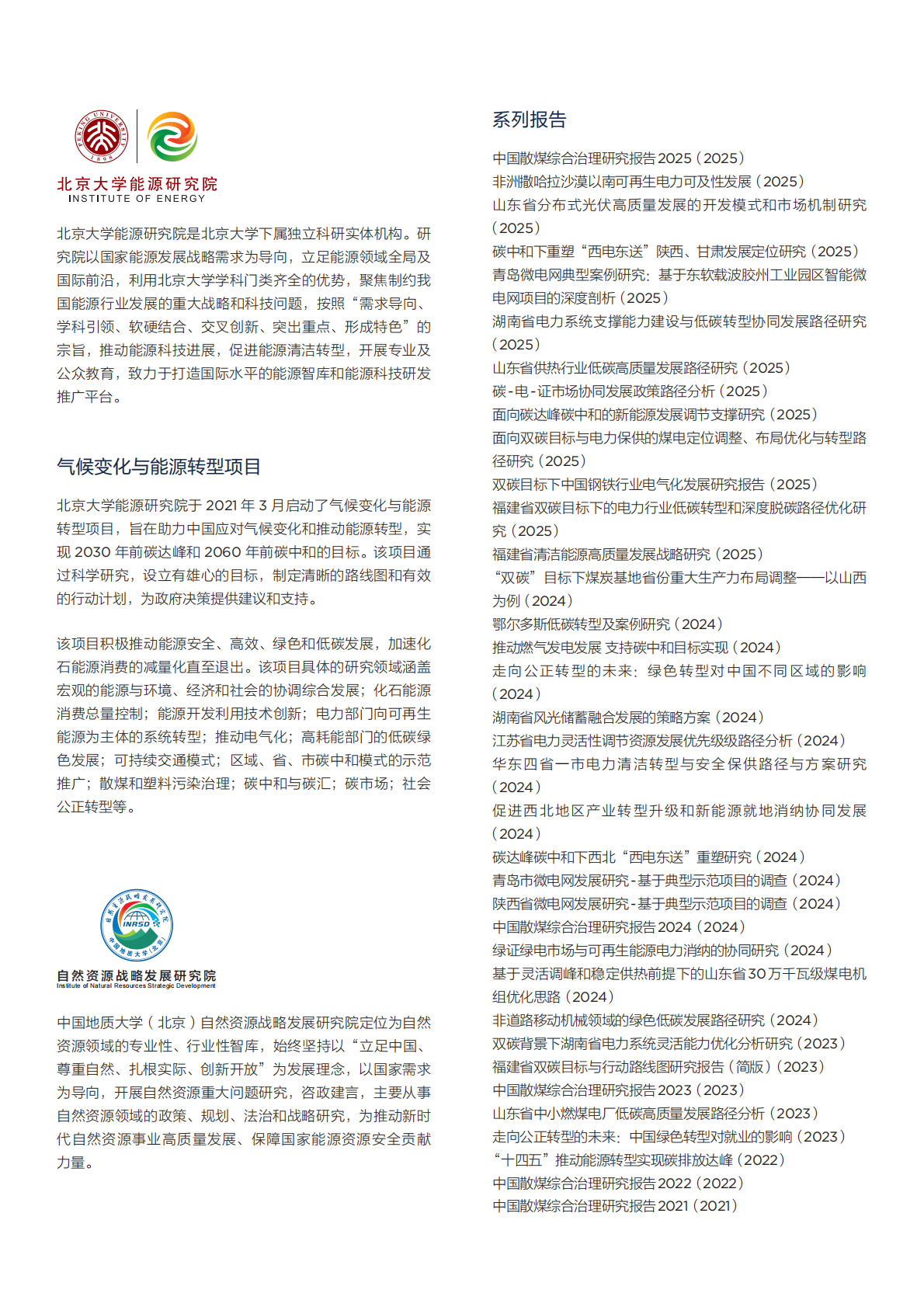 北大能研院：2025年非洲转型矿产资源开发利用与国际合作战略研究报告 第2页