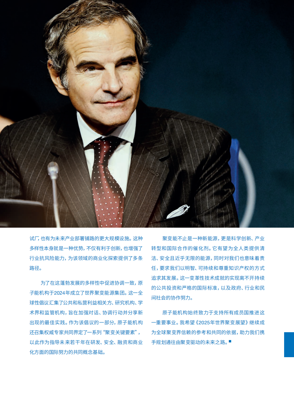 国际原子能机构：2025年世界聚变展望报告（中文版） 第4页