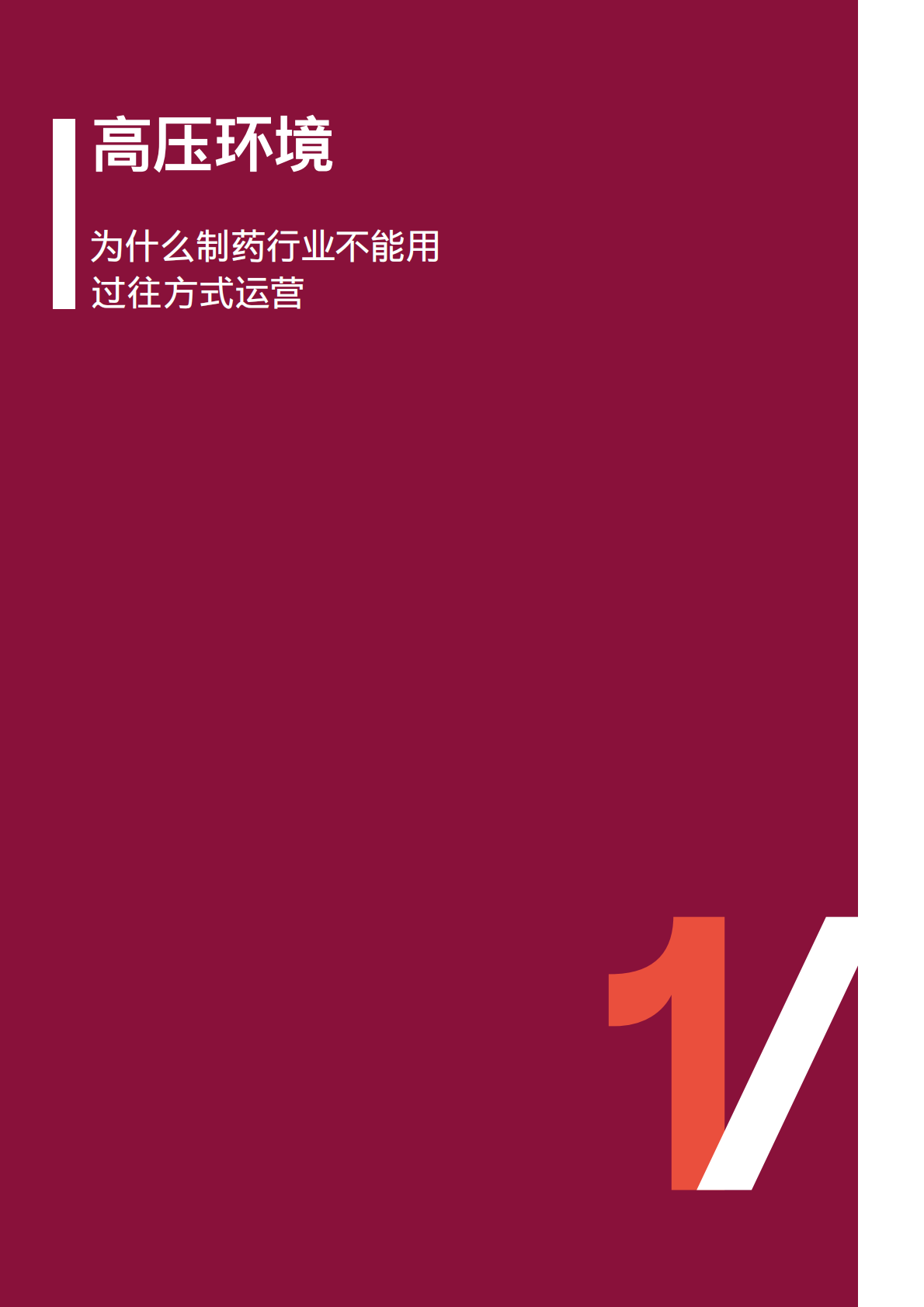 罗兰贝格：制药领域焦点关注&mdash;&mdash; 持续运营改进 第4页