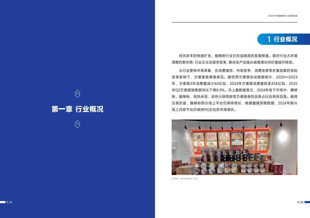 纳食产业研究院：2025中国酸辣粉行业发展报告 第4页