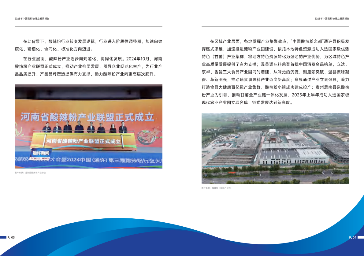 纳食产业研究院：2025中国酸辣粉行业发展报告 第5页