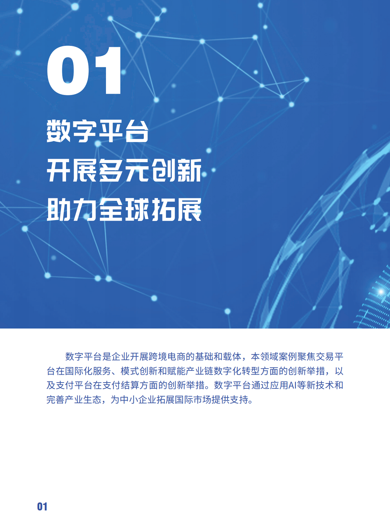 世界互联网大会：2025世界互联网大会跨境电商实践案例集 第6页