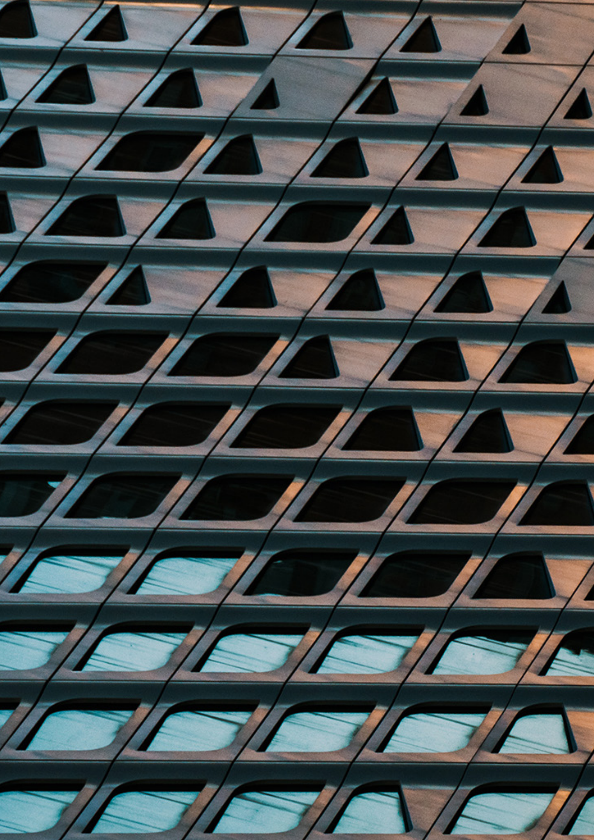 是机遇还是陷阱？：2025中国插电式混合动力汽车_增程式电动汽车发展热潮 第4页