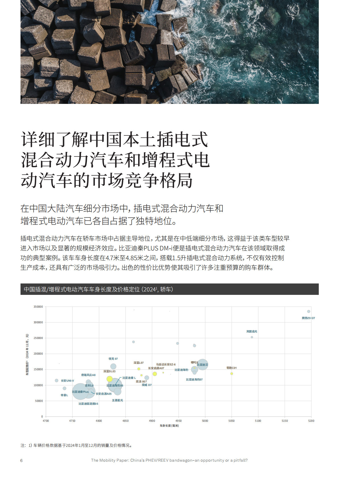 是机遇还是陷阱？：2025中国插电式混合动力汽车_增程式电动汽车发展热潮 第6页
