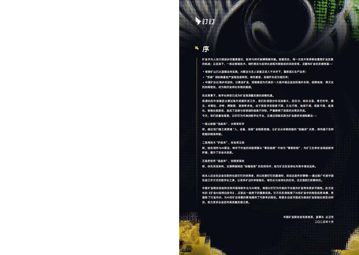 中国矿业联合会：2025矿业AI应用白皮书 第3页