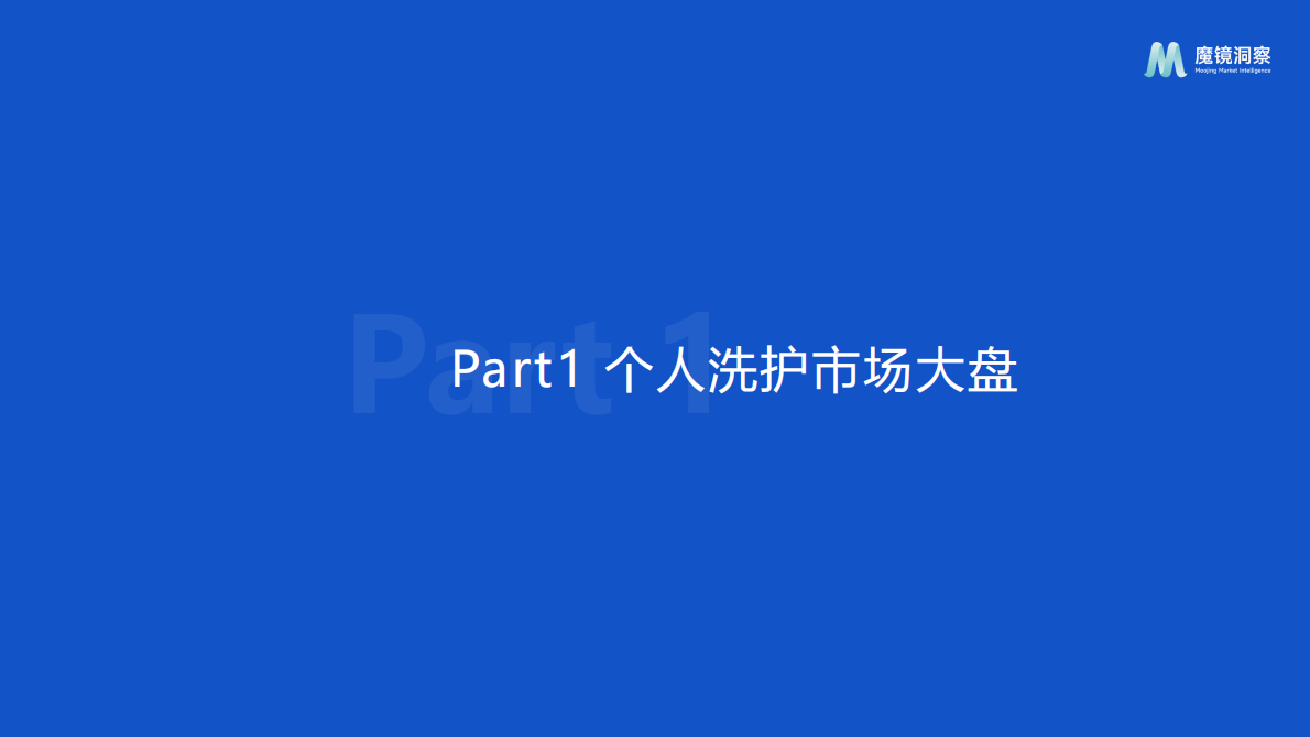 魔镜洞察：2025个人洗护&家清行业趋势洞察 第3页