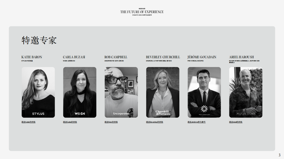 体验的未来（英文） 第3页