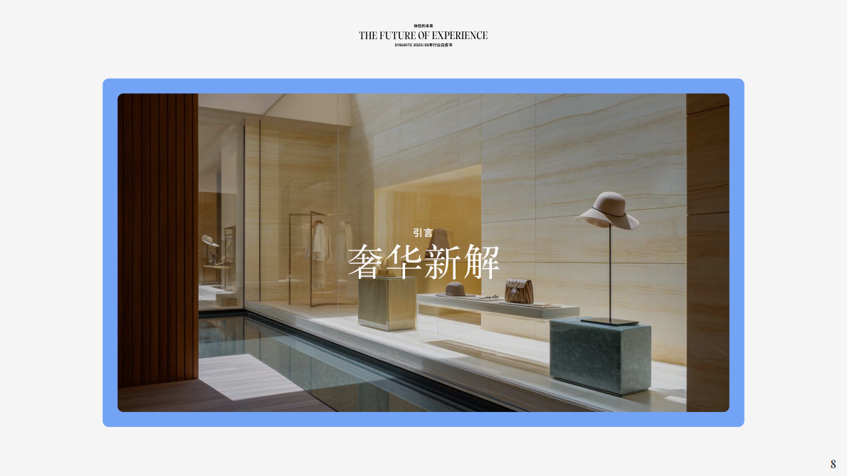 体验的未来（英文） 第8页