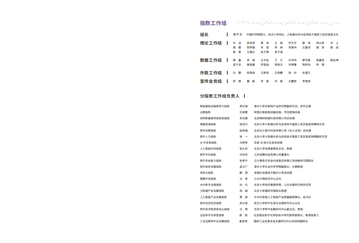 北京大学：2025年数字生态指数报告 第2页