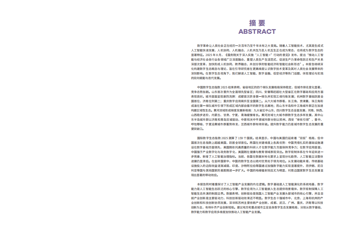 北京大学：2025年数字生态指数报告 第4页