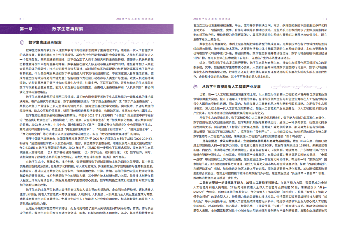 北京大学：2025年数字生态指数报告 第5页