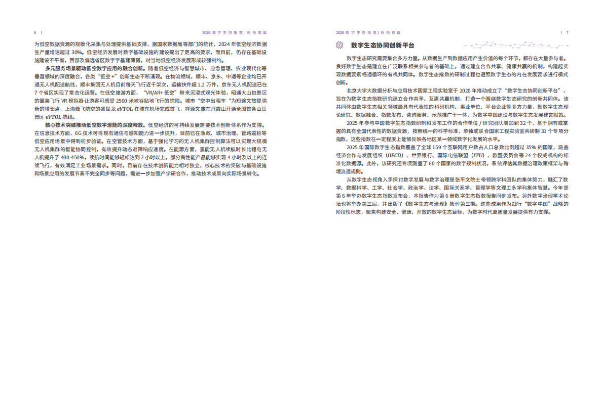 北京大学：2025年数字生态指数报告 第7页