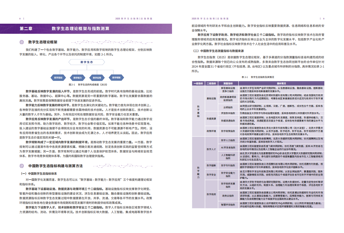 北京大学：2025年数字生态指数报告 第8页