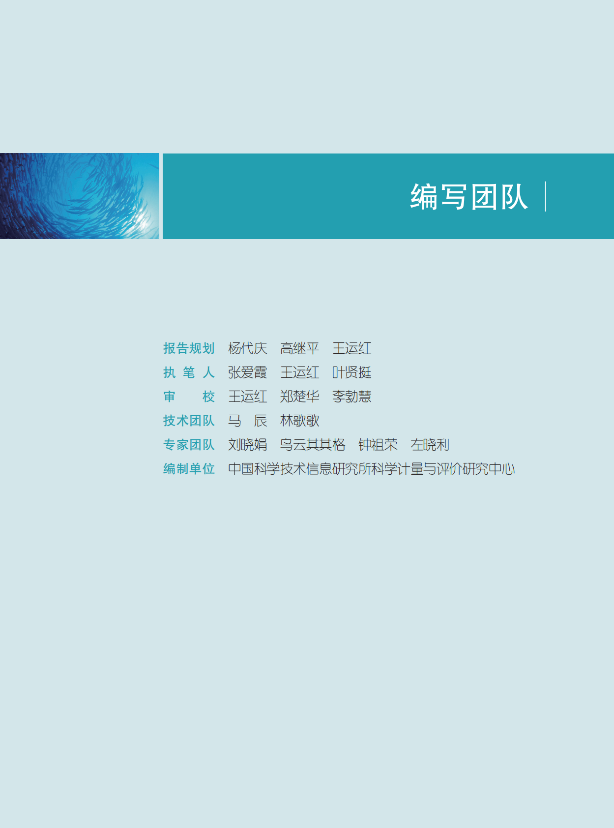 世界青年科学家联合会：2025全球职业早期青年科学家成长发展调查报告（中文） 第2页