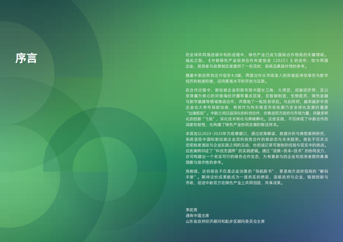 盛裕集团：2025年中新绿色产业投资合作年度报告 第2页
