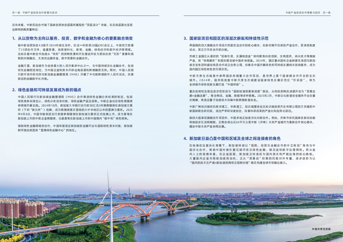 盛裕集团：2025年中新绿色产业投资合作年度报告 第7页
