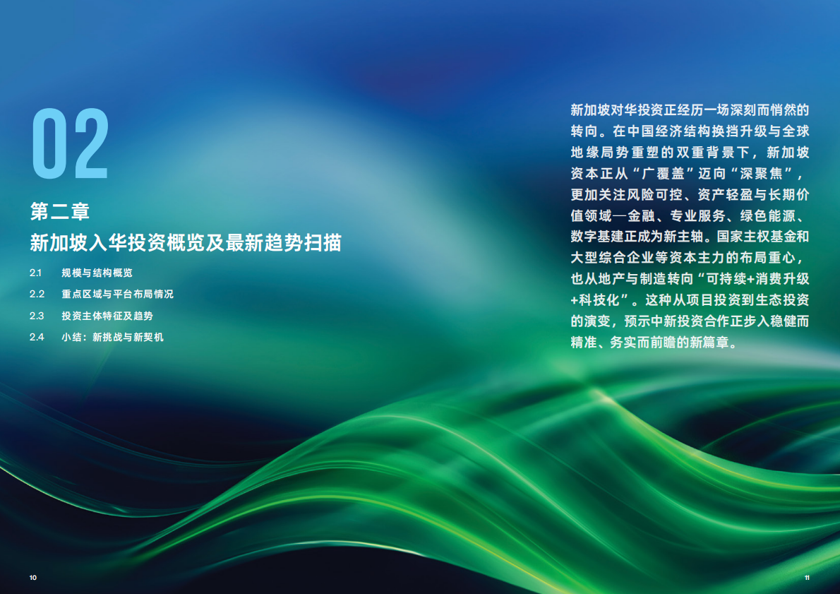 盛裕集团：2025年中新绿色产业投资合作年度报告 第8页