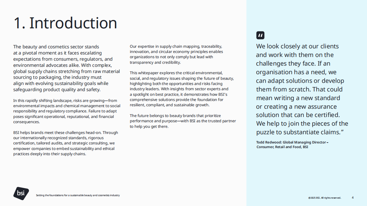 英国标准协会BSI：2025年为可持续的美容和化妆品行业奠定基础白皮书（英文版） 第4页