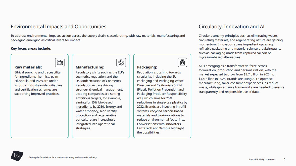 英国标准协会BSI：2025年为可持续的美容和化妆品行业奠定基础白皮书（英文版） 第6页