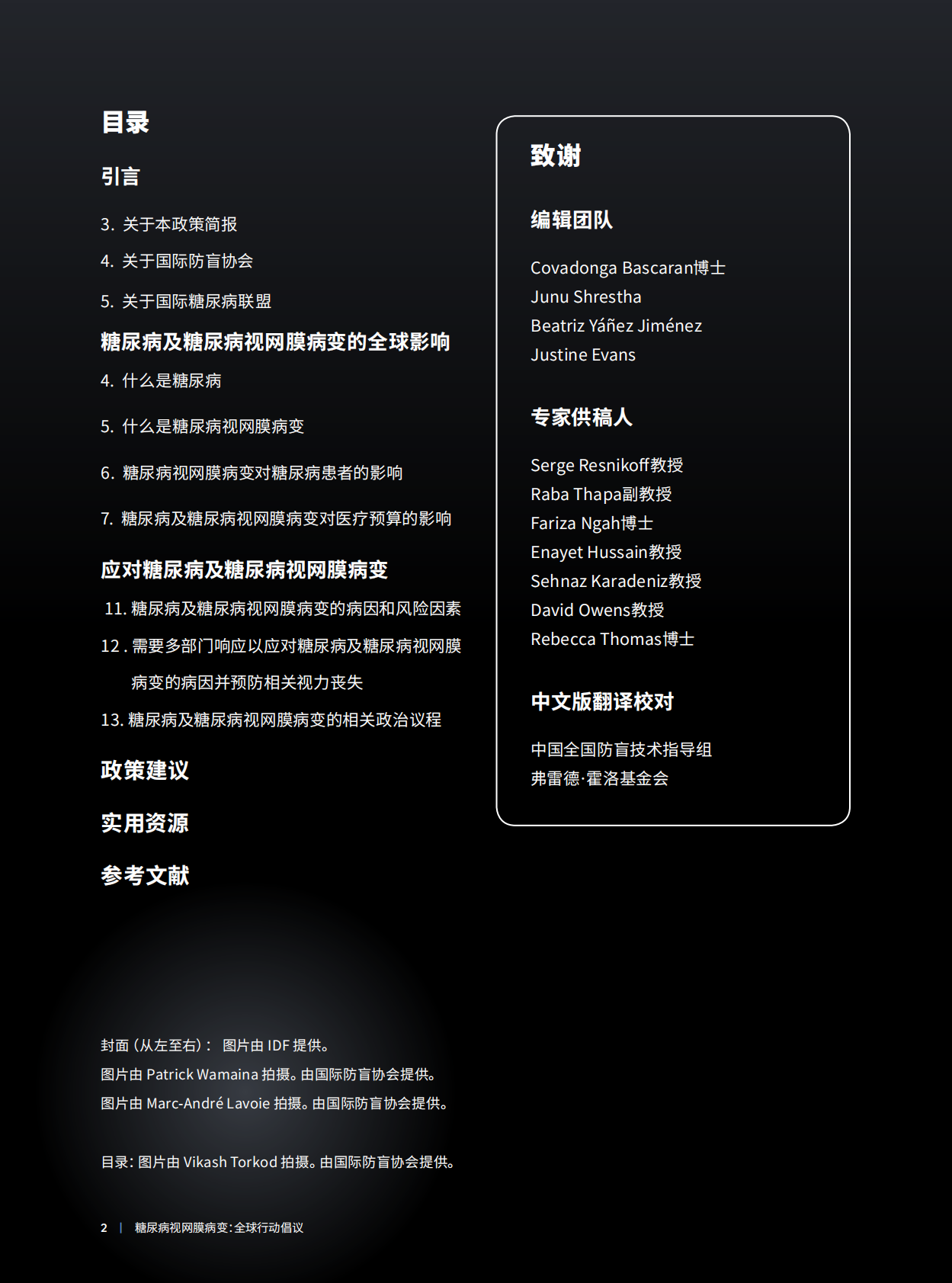 国际防盲协会（IAPB）：2025年糖尿病视网膜病变：全球行动倡议简报 第2页