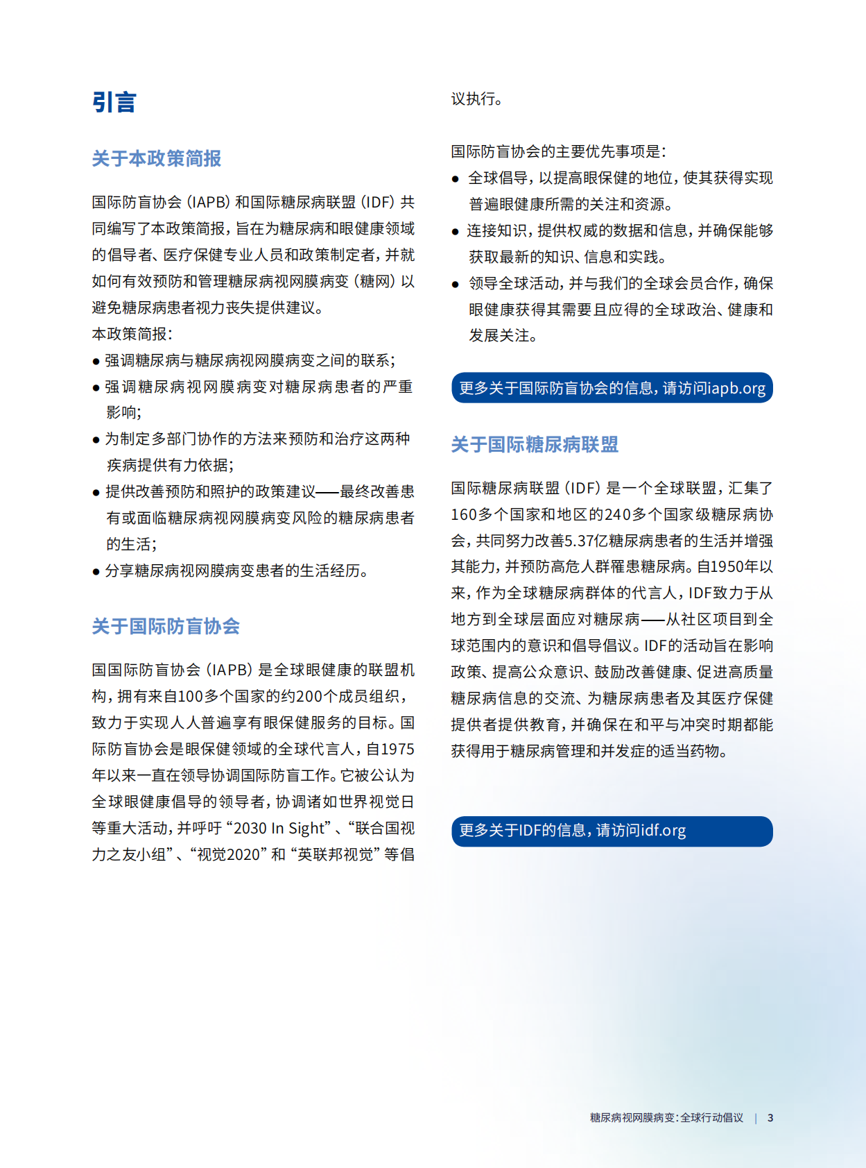国际防盲协会（IAPB）：2025年糖尿病视网膜病变：全球行动倡议简报 第3页