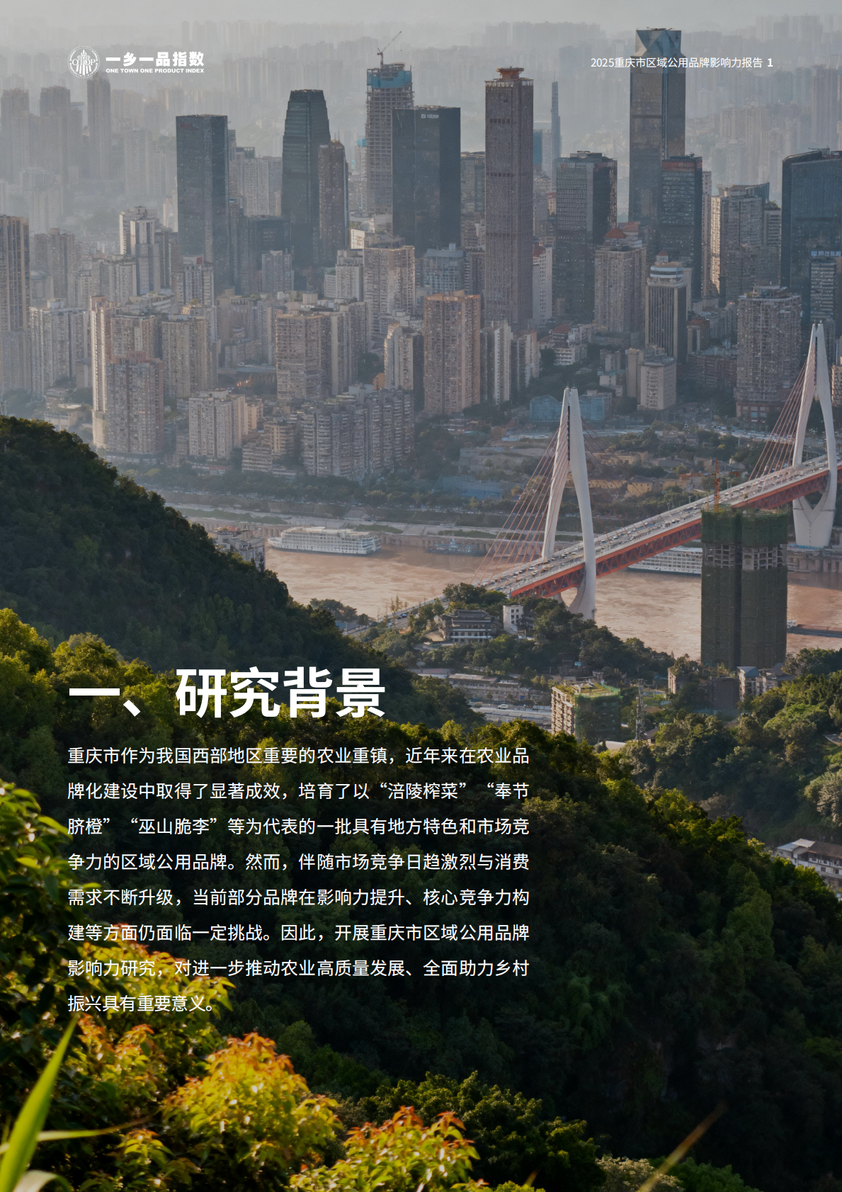 一乡一品指数：2025年重庆市区域公用品牌影响力报告 第7页