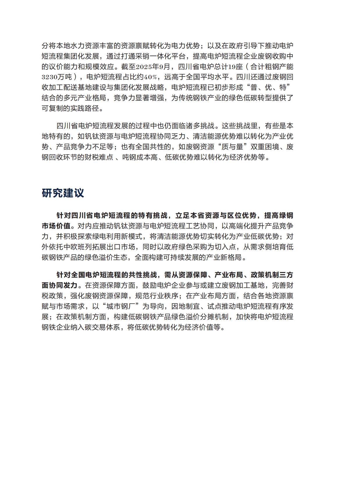自然资源保护协会：2025年推动废钢-电炉短流程的发展：以四川省为例报告 第4页