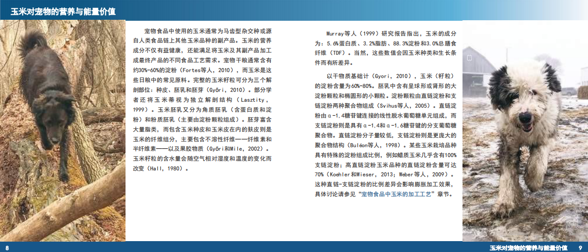 宠物食品中的玉米 第6页