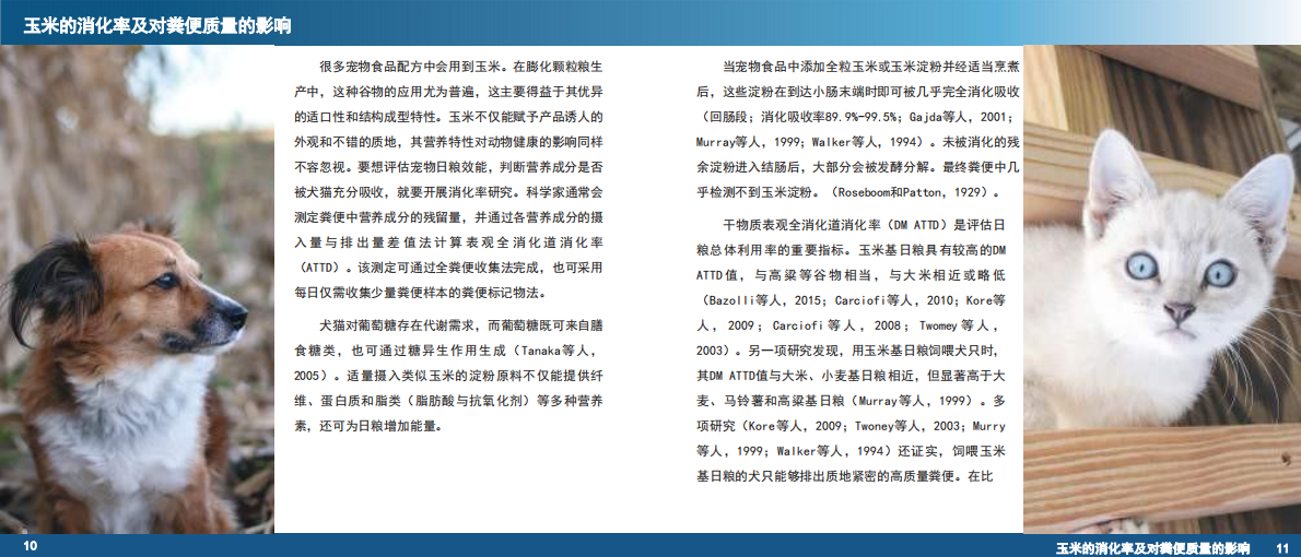 宠物食品中的玉米 第7页