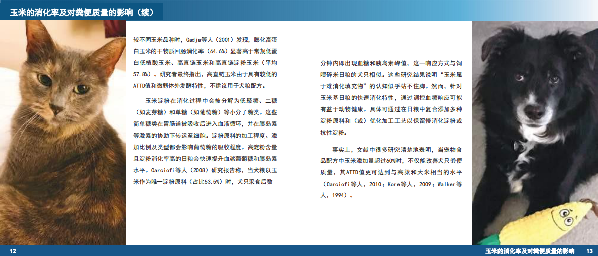 宠物食品中的玉米 第8页
